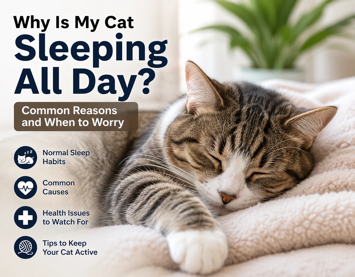 Sleeping tabby cat resting comfortably on a soft blanket.